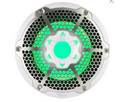 NXL 10" Marine Subwoofer with LED RGB Lights 300 Watts Rms SVC 4-Ohm